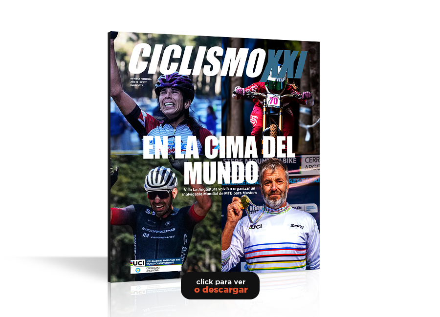revistalink